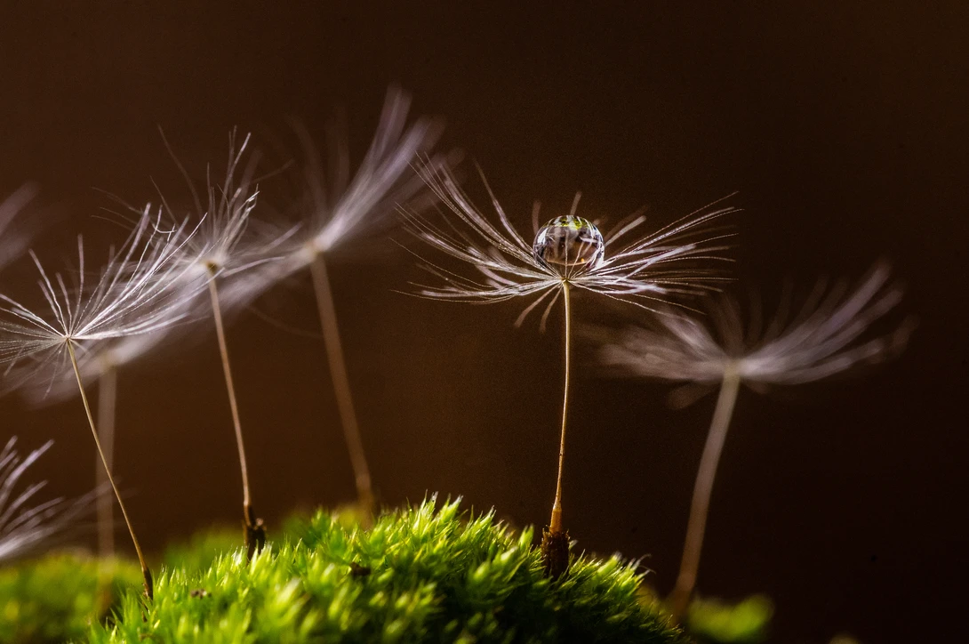 View c9819b6a323752bc50ba7d38a08f1867.jpg by Jeremy Martignago