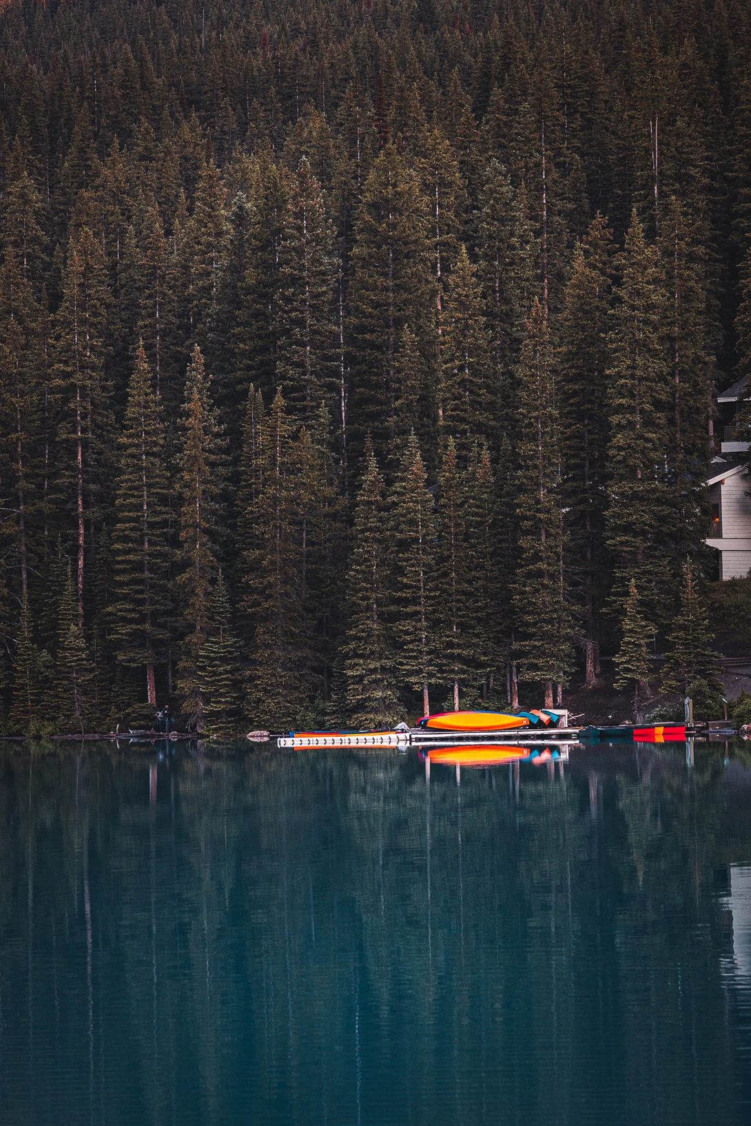 View cc3f9cf43e7e63ed8d5da4b2480a92fb.jpg by Brayden Mah