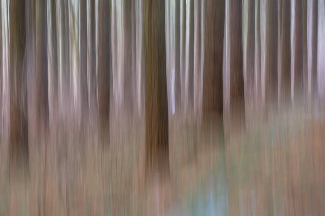 View f45cfa87e9719423d66263e05fd0ce58.jpg by Stephanie Johnson (StephJohnPhoto & ICMPhotoMag)