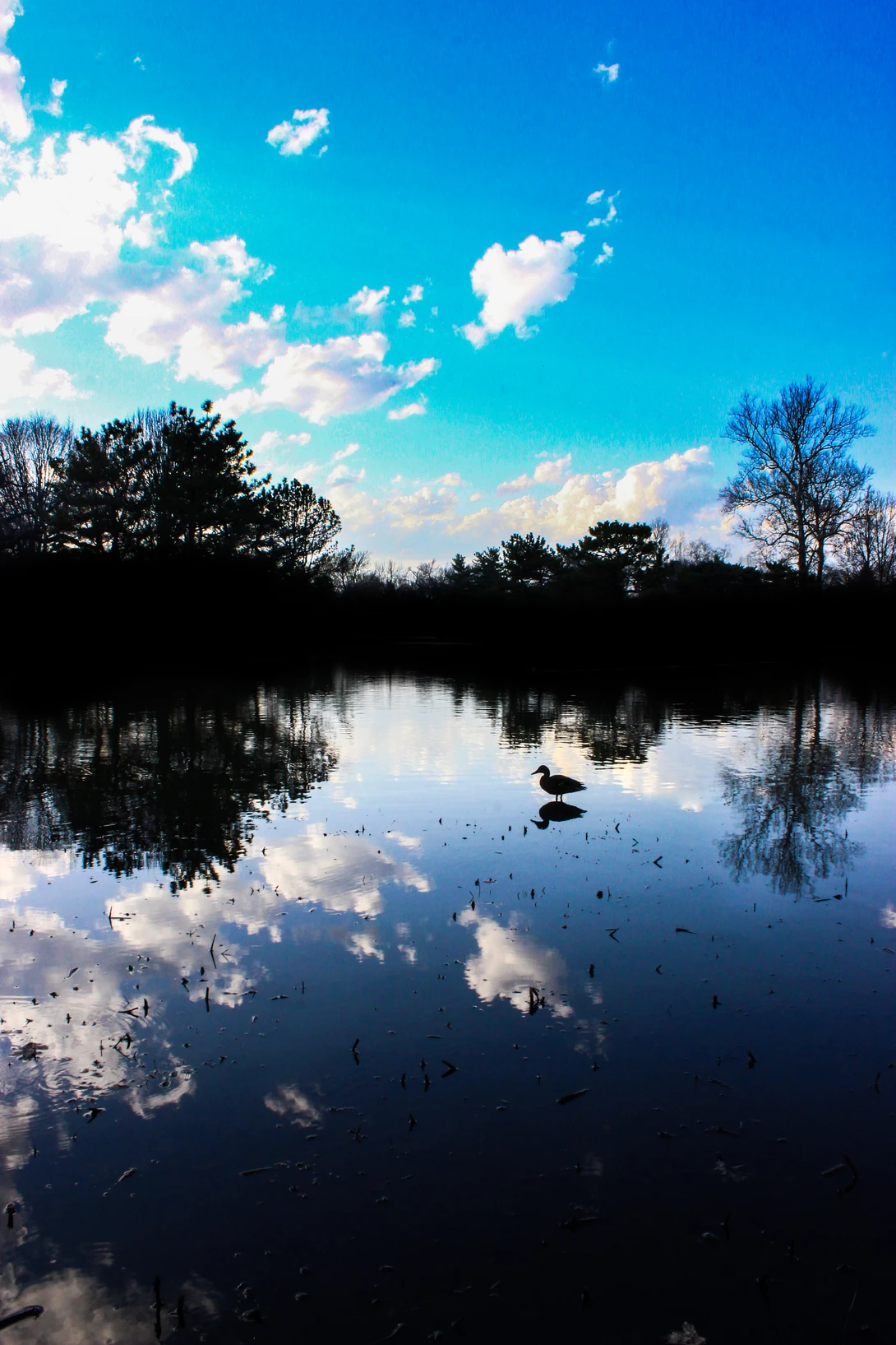 View f51d2a29466ac1a8efe8d902e33051e5.jpg by Jack Scott