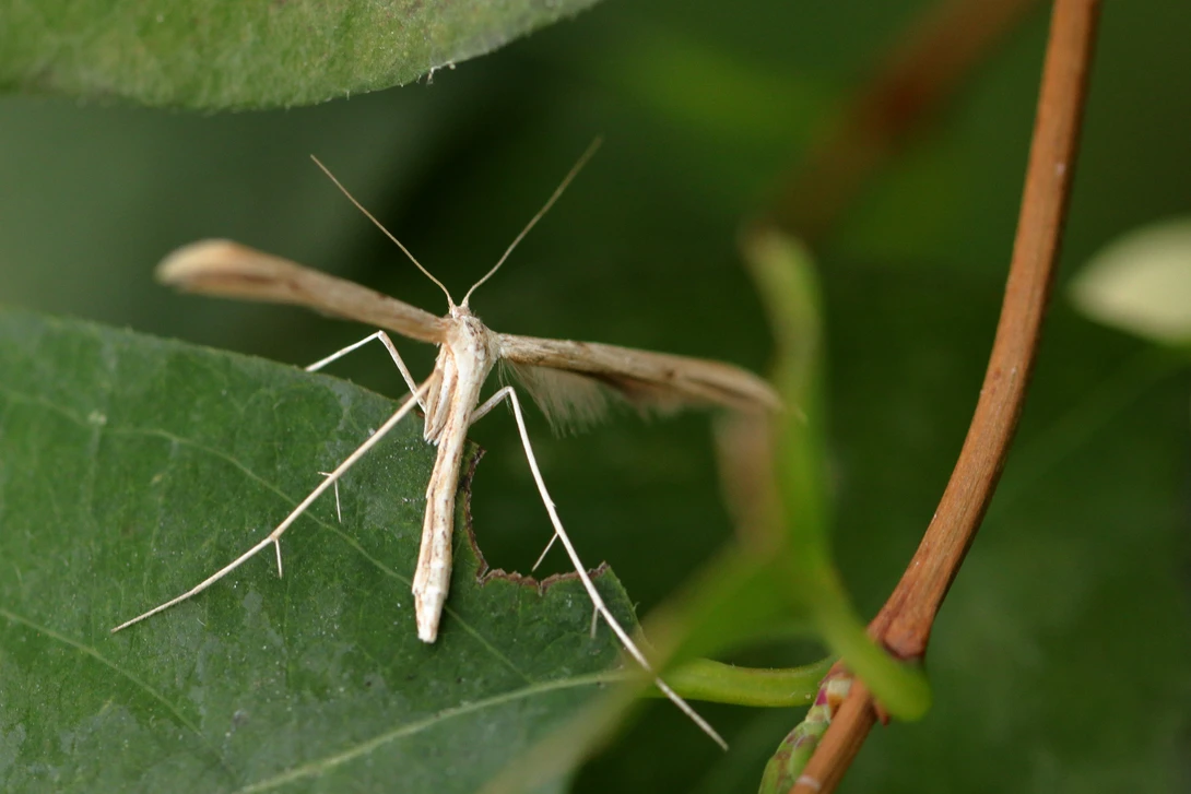 View fbd4b15c700f4f1c3c75501680d3224f.jpg by Ian Luyten