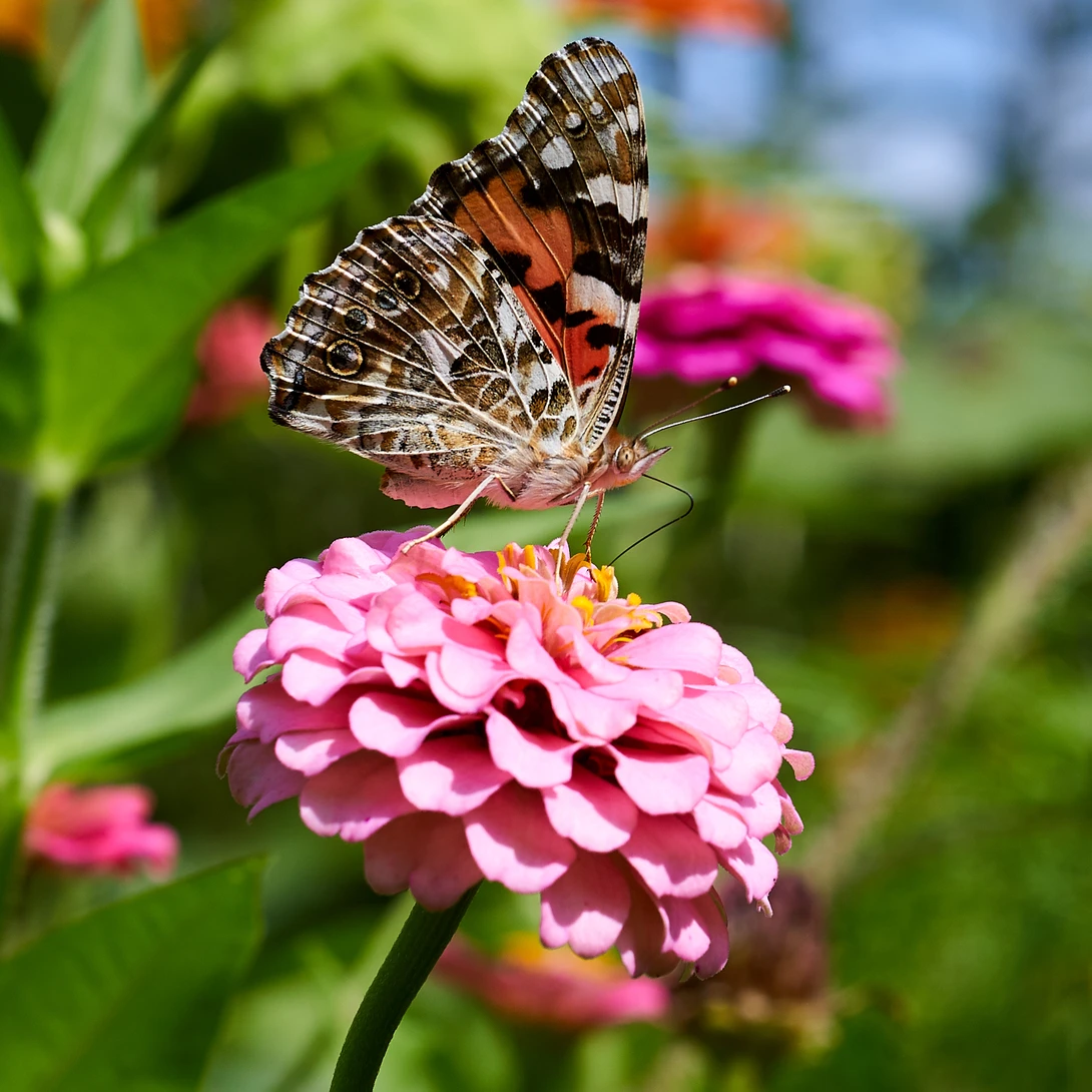 View 042cf5f7197713bb000d52552394860f.jpg by ANDREW WILDER