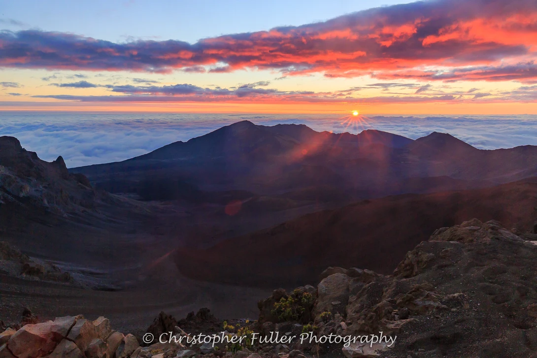 View 3707688c9cf49e9719c078ce9b4a94ea.jpg by Christopher Fuller
