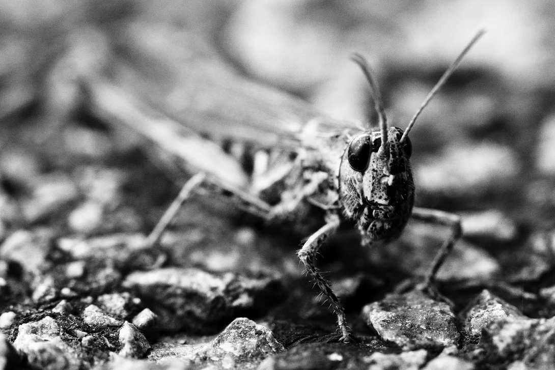 View 388a89207c1fb7383f173ebf89d8b758.jpg by Ian Luyten