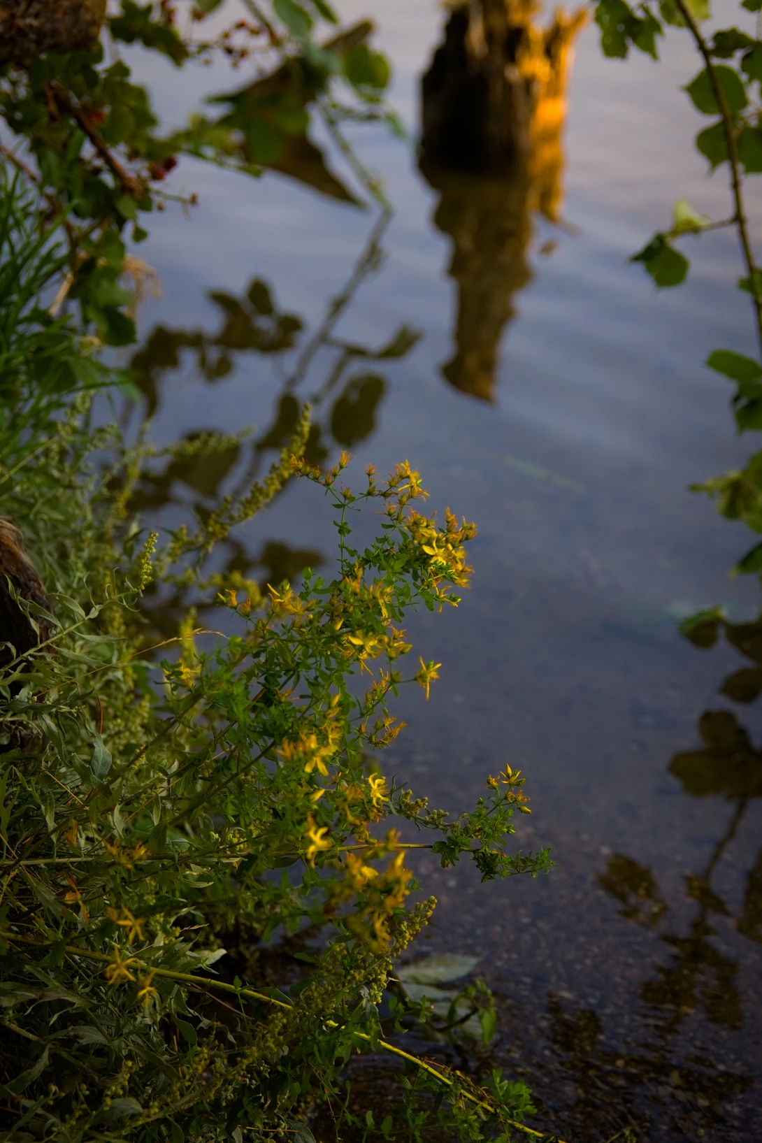 View 4aff319469e7d0a680a6da8f4120f65e.jpg by Kristopher Schmidt