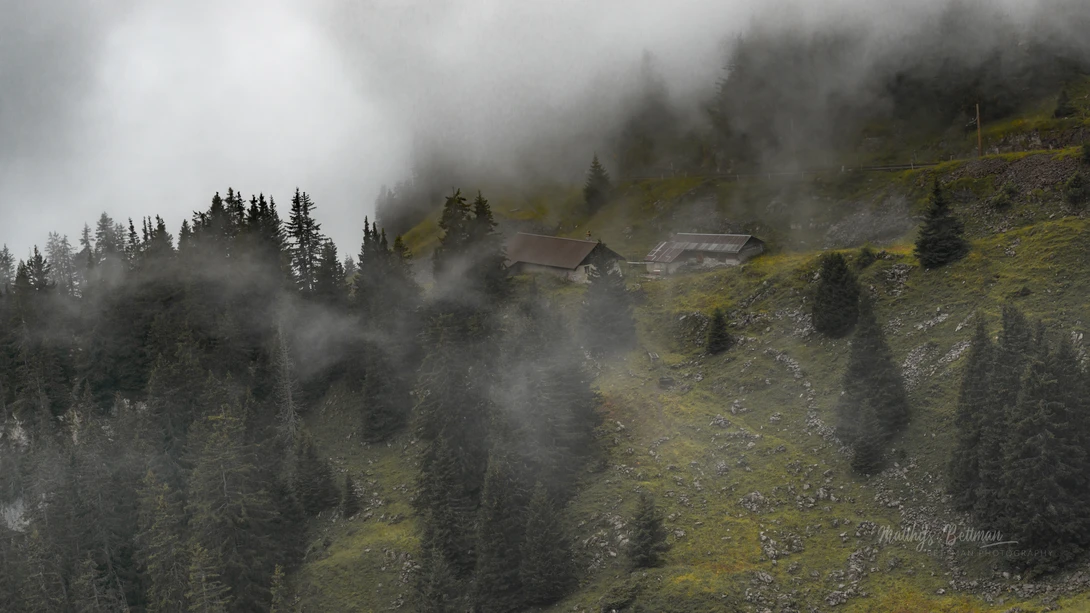 View 4db168bb82d3fc82d17cbb0e84fcfc30.jpg by Matthijs Bettman