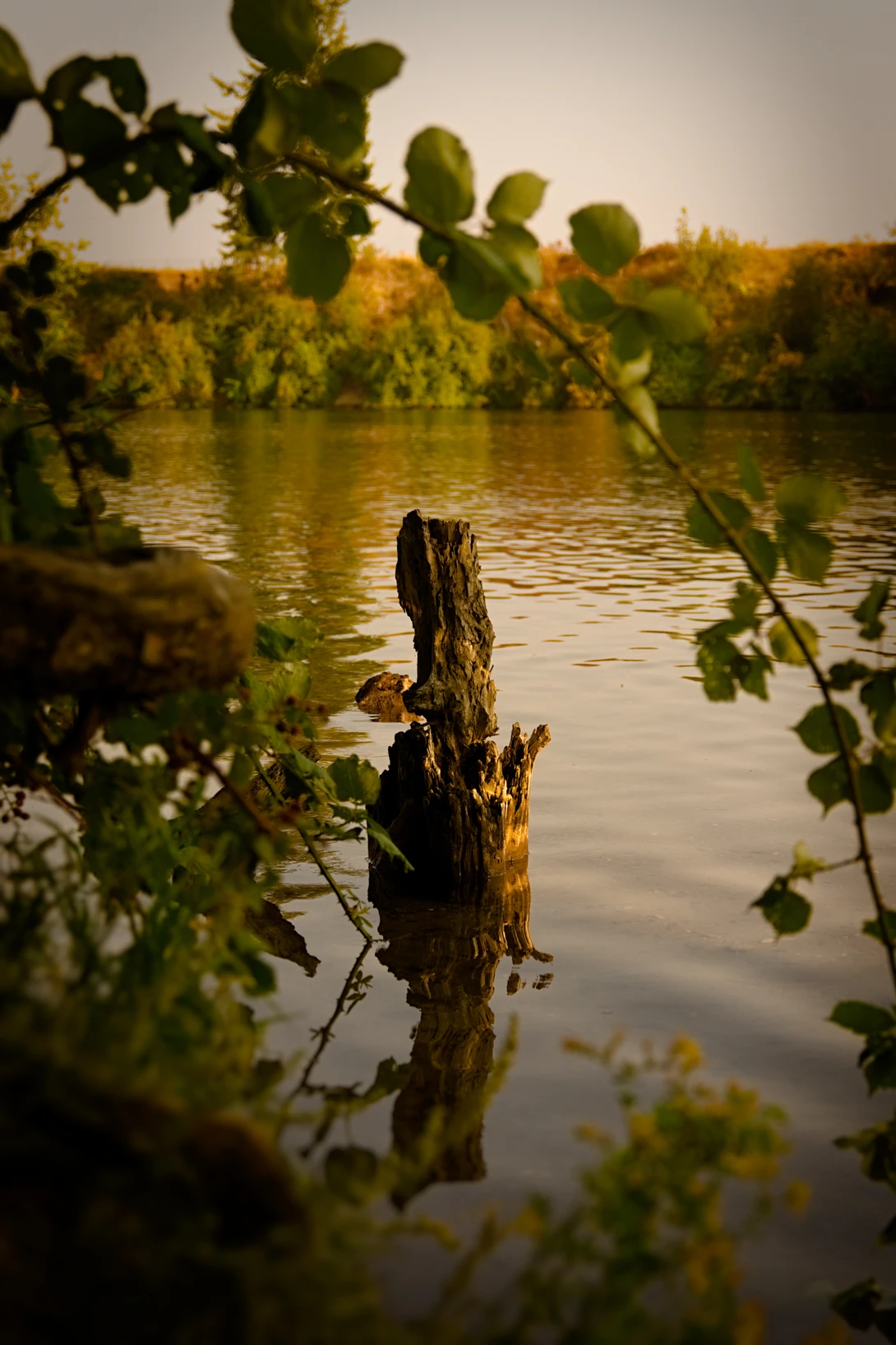 View 54130e06df9abc889b711c7df697ddbf.jpg by Kristopher Schmidt