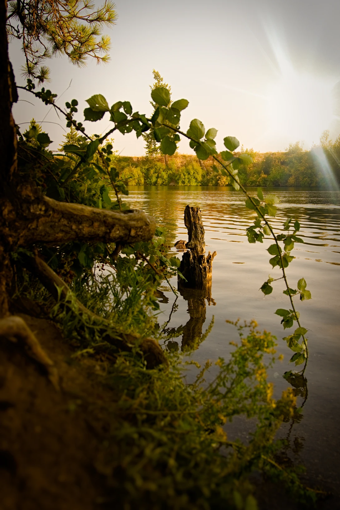 View 562105dcf7e2090b6bf054cd13874393.jpg by Kristopher Schmidt