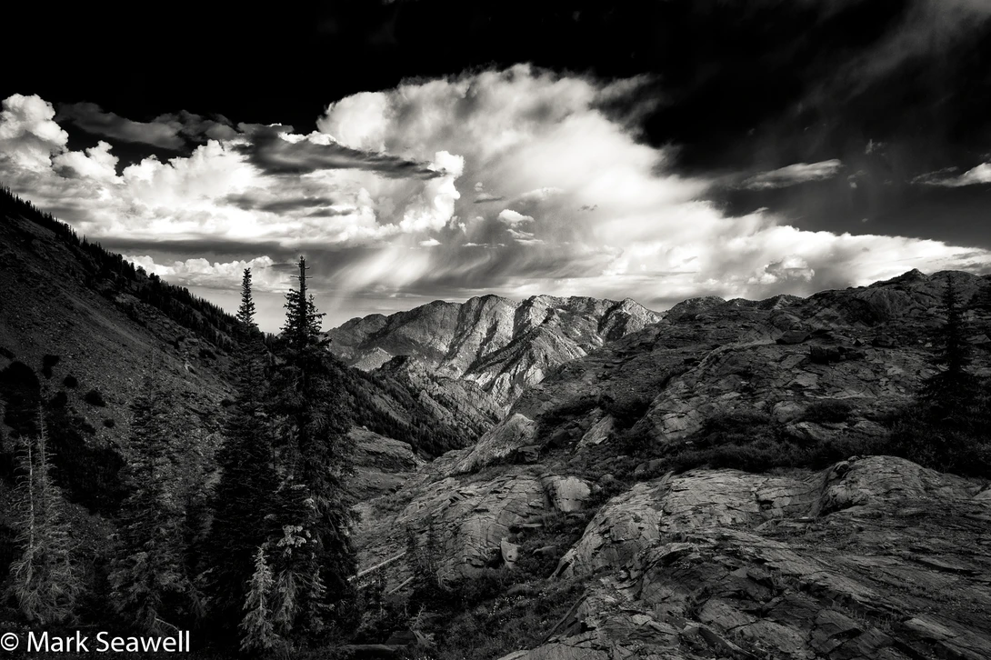 View Sounds of summer by Mark Seawell