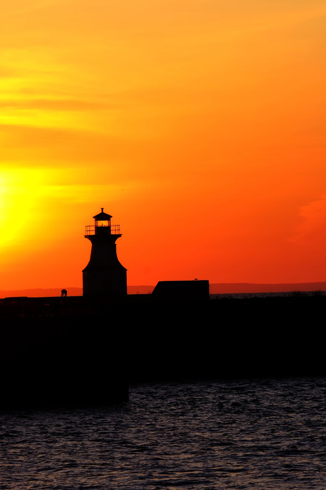 View 7e7e0a7d814d2191b9d3e7fd901fec6e.jpg by John Pettigrew