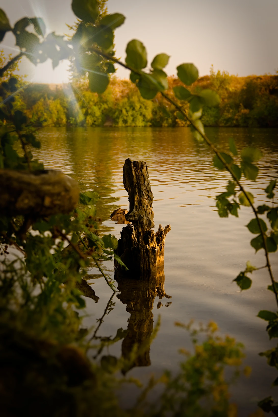 View b4855ad13a59743e89e22cc6cb12d463.jpg by Kristopher Schmidt