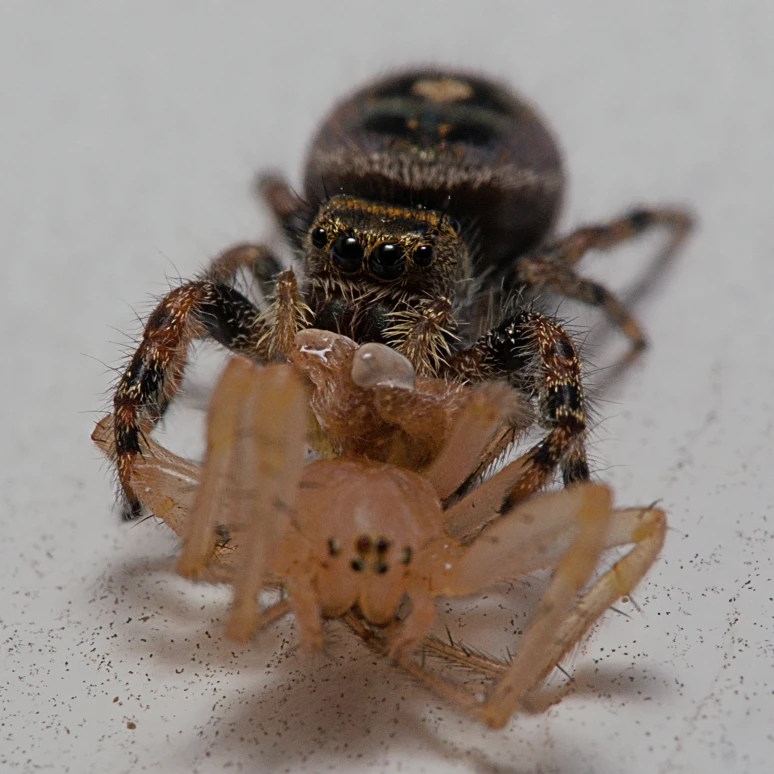 View b5e3f5e0b1d0b2d9865016fd688bac3b.jpg by Troy Straub