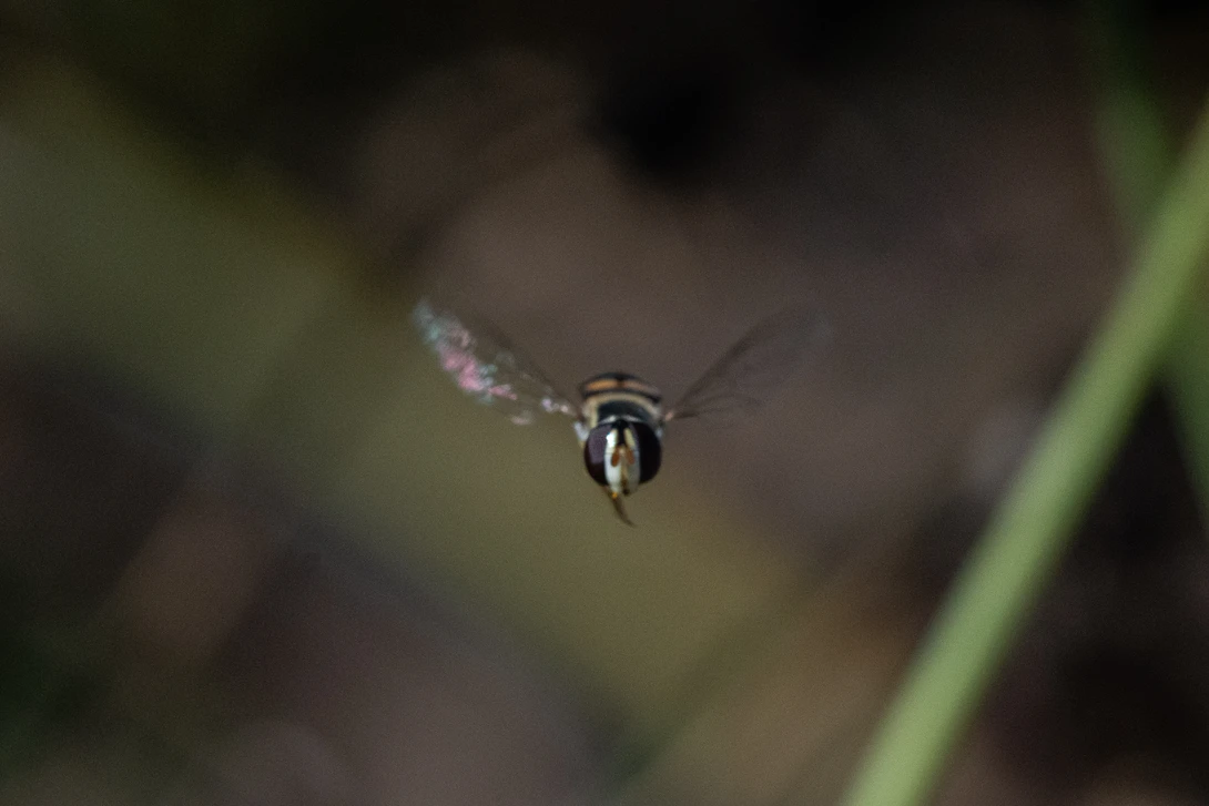 View b62768faa01fedbe69f1f0fa4fa76bc1.jpg by Jeremy Martignago