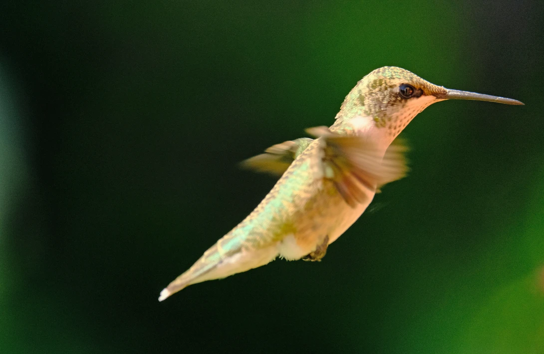 View d71ce17d3a899c757283514b40402f0c.jpg by John Pettigrew