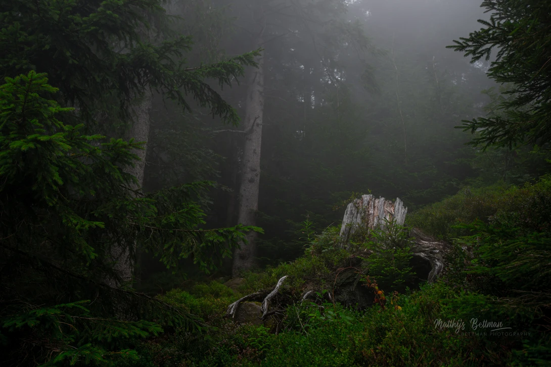 View d9edbf0433b5df0139ccd645f6f8d360.jpg by Matthijs Bettman