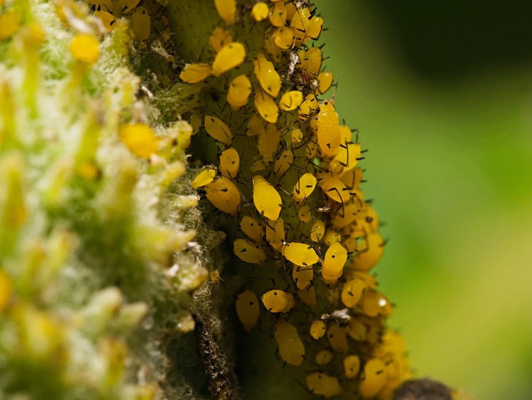 View e19162e63f9a0fe52c4a35b47829848b.jpg by Troy Straub