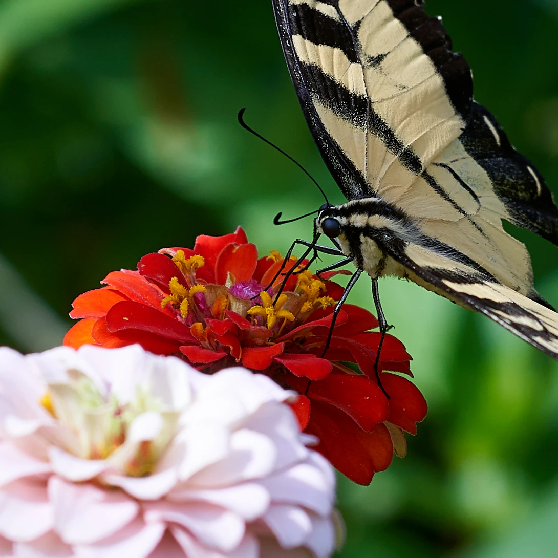 View f118a7de43bcb84c625cc190fd88cf91.jpg by ANDREW WILDER