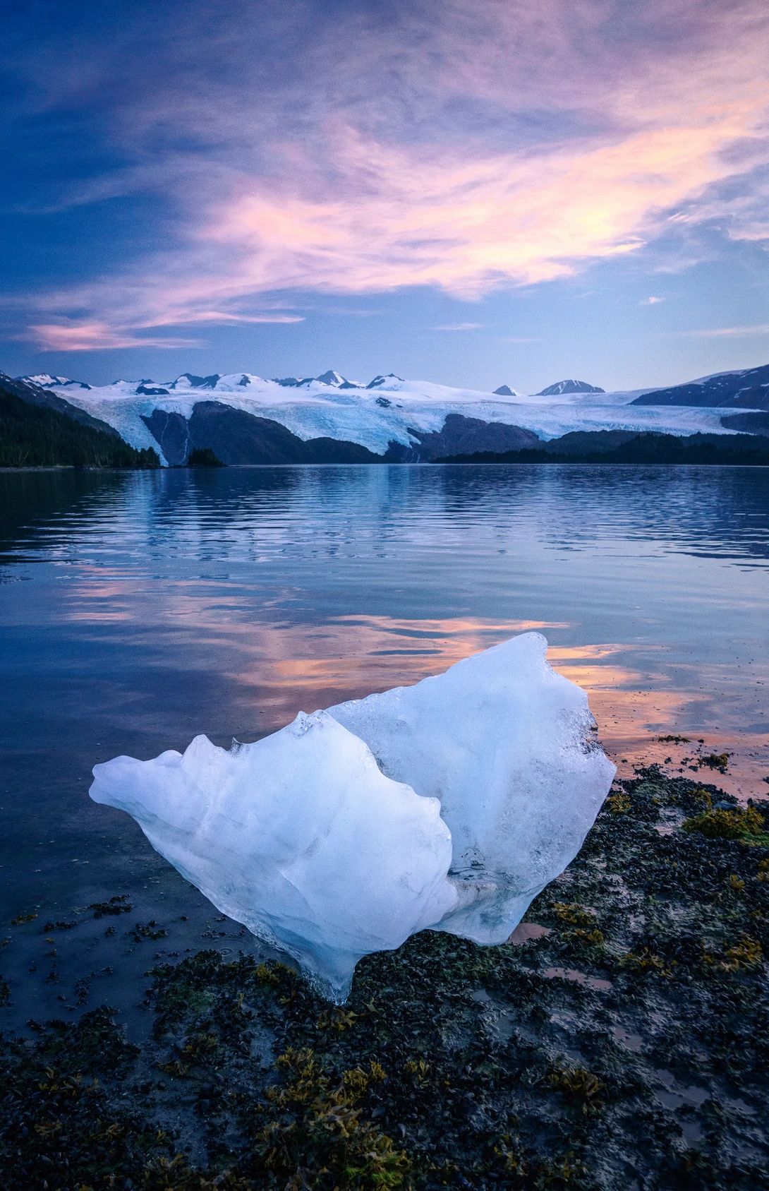 View f1c7cedef628eb68e46c7a138acdaa35.jpg by TYLER YATES