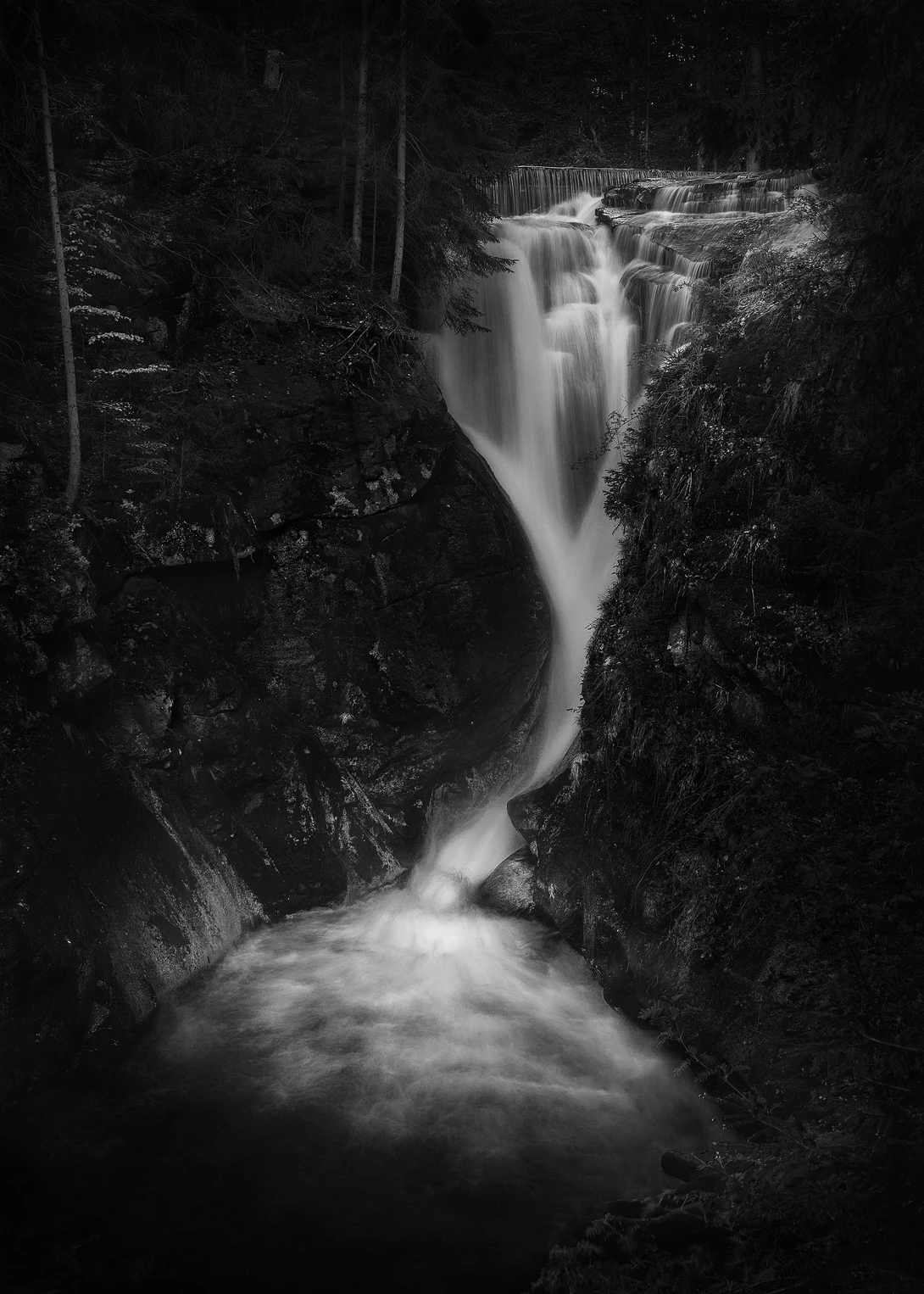 View f5197bd573995945eb3fac2267ce4dfb.jpeg by Andrzej Muzaj