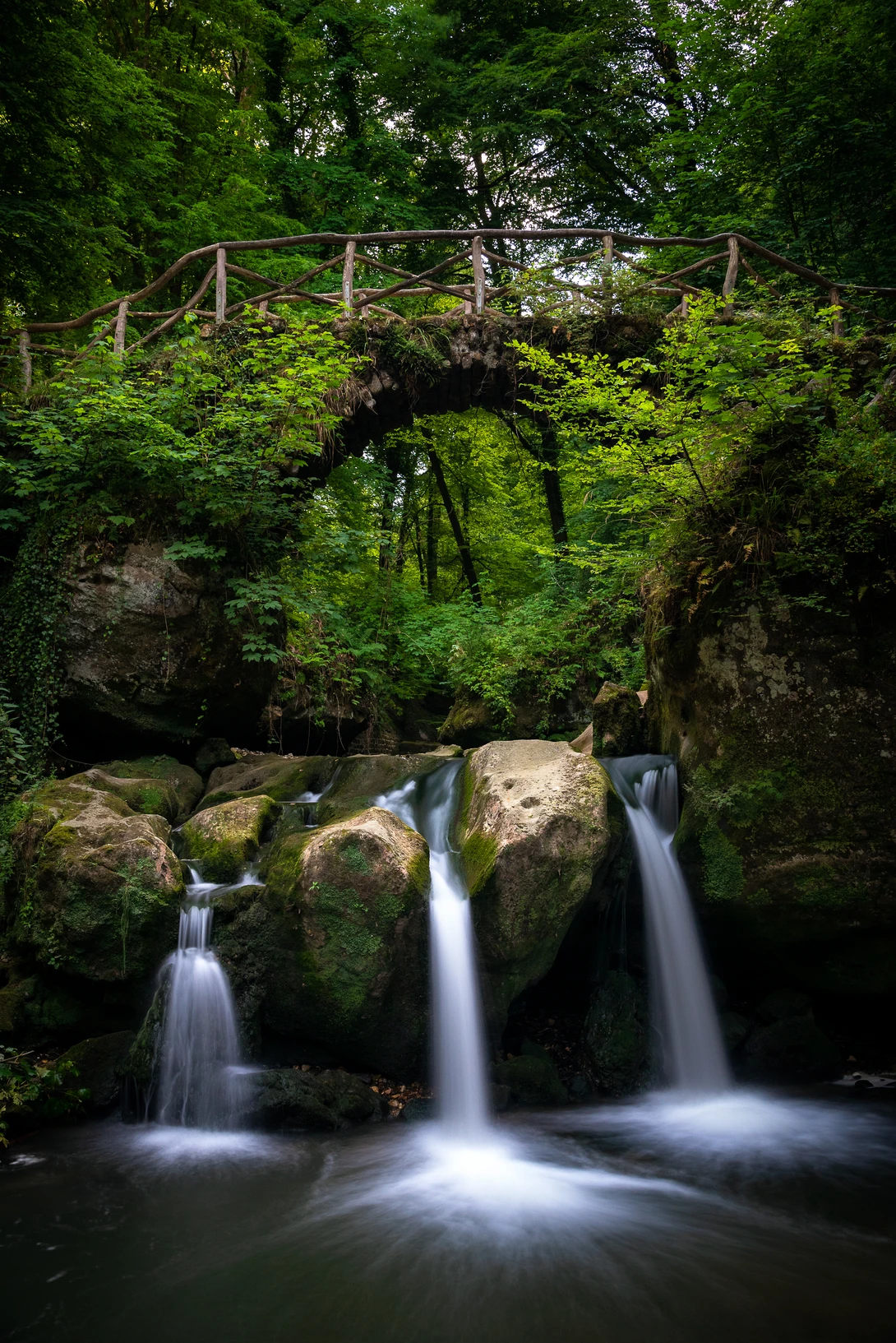 View f66c5394d9eb48e80773c847aebf3e69.jpg by Trevor Parker