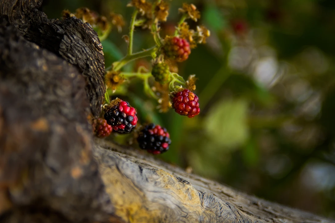 View f87771505098515d5b612a48cc4eb0c4.jpg by Kristopher Schmidt