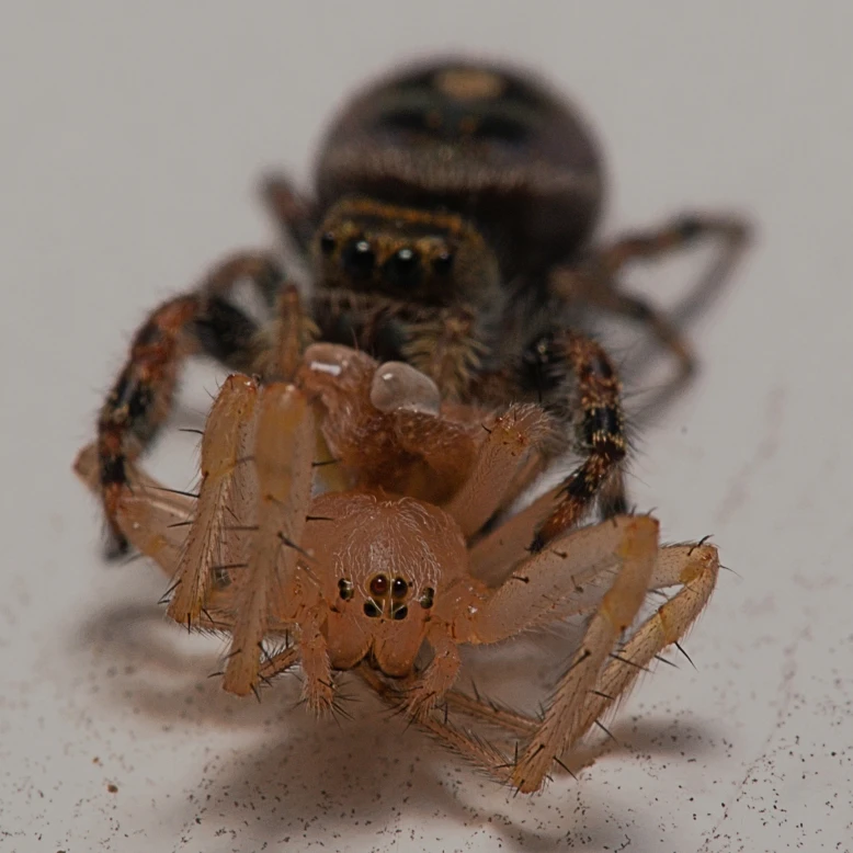 View f884293c1392f8a99cec9154ab00dce6.jpg by Troy Straub