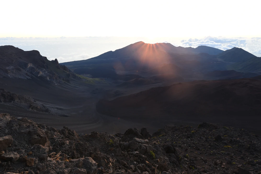 View 0572357955e6900bfff4ee59d8c95236.jpg by Josh Sanders