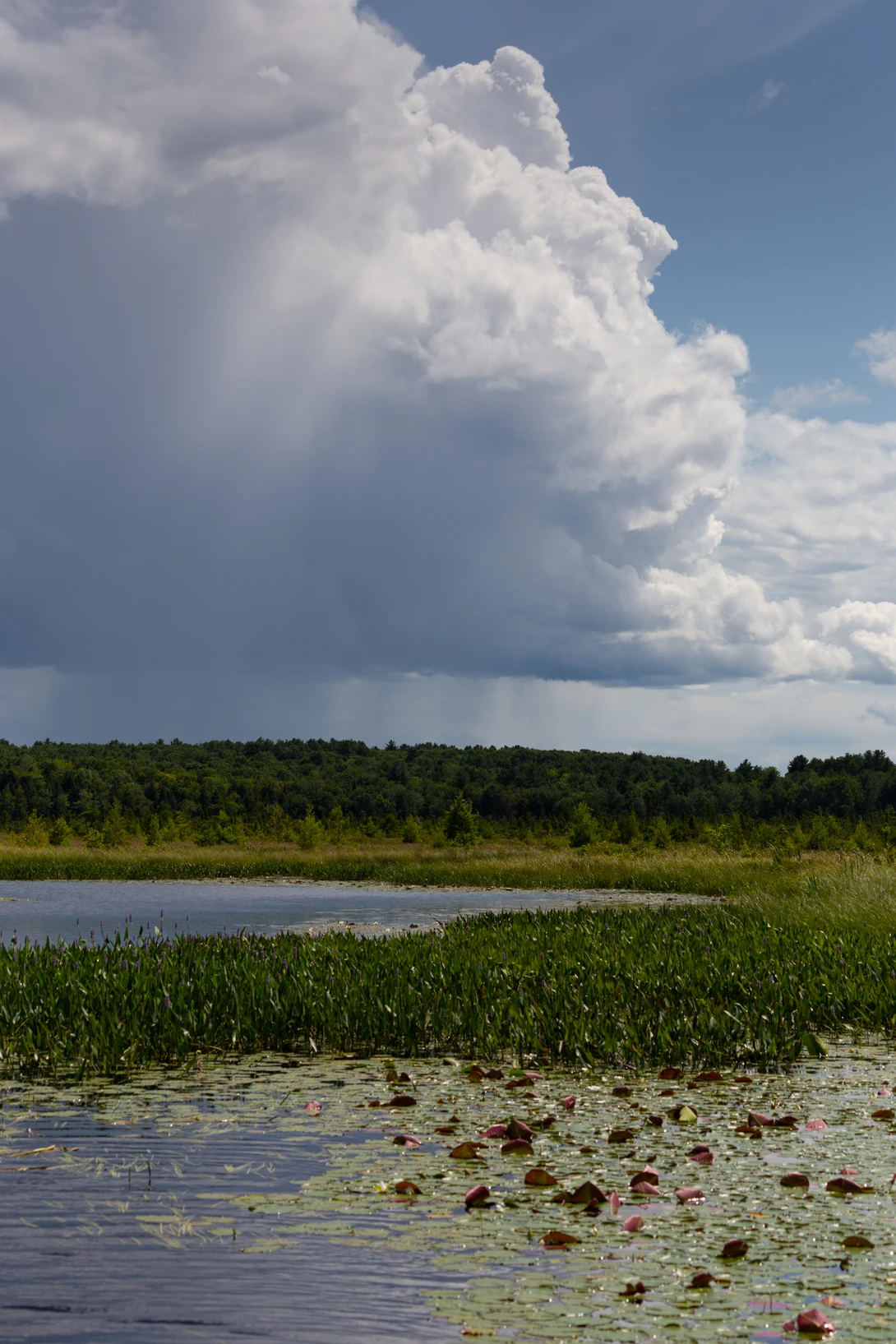 View 1395bccd2a611092a968a90464e11515.jpg by Shawn Mahan
