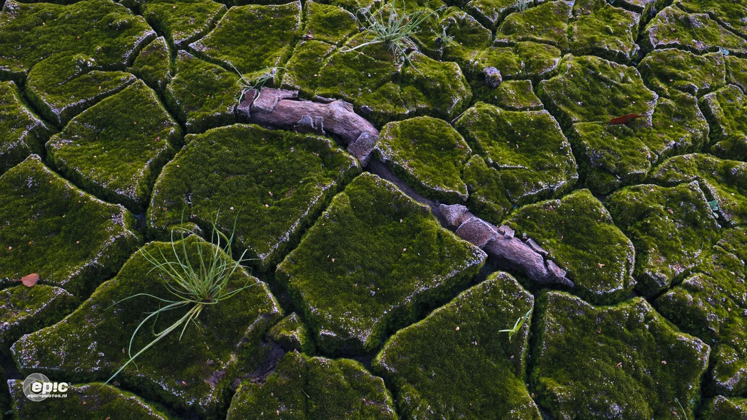 View 177021e5fb8b340cc3d730d38df937ae.jpeg by Erick Van Rijswick