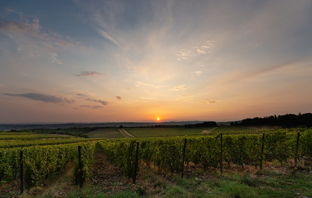 View 4a63092c242d89bdc486dece842d31f3.jpg by Shawn Mahan