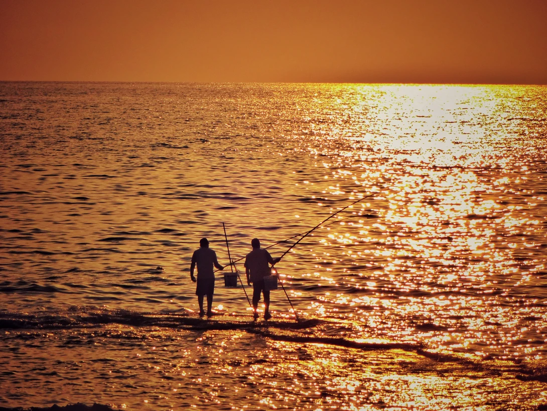 View 5c361c20da9bbfda83199ecb3a7b6ae5.jpeg by iyad tawil