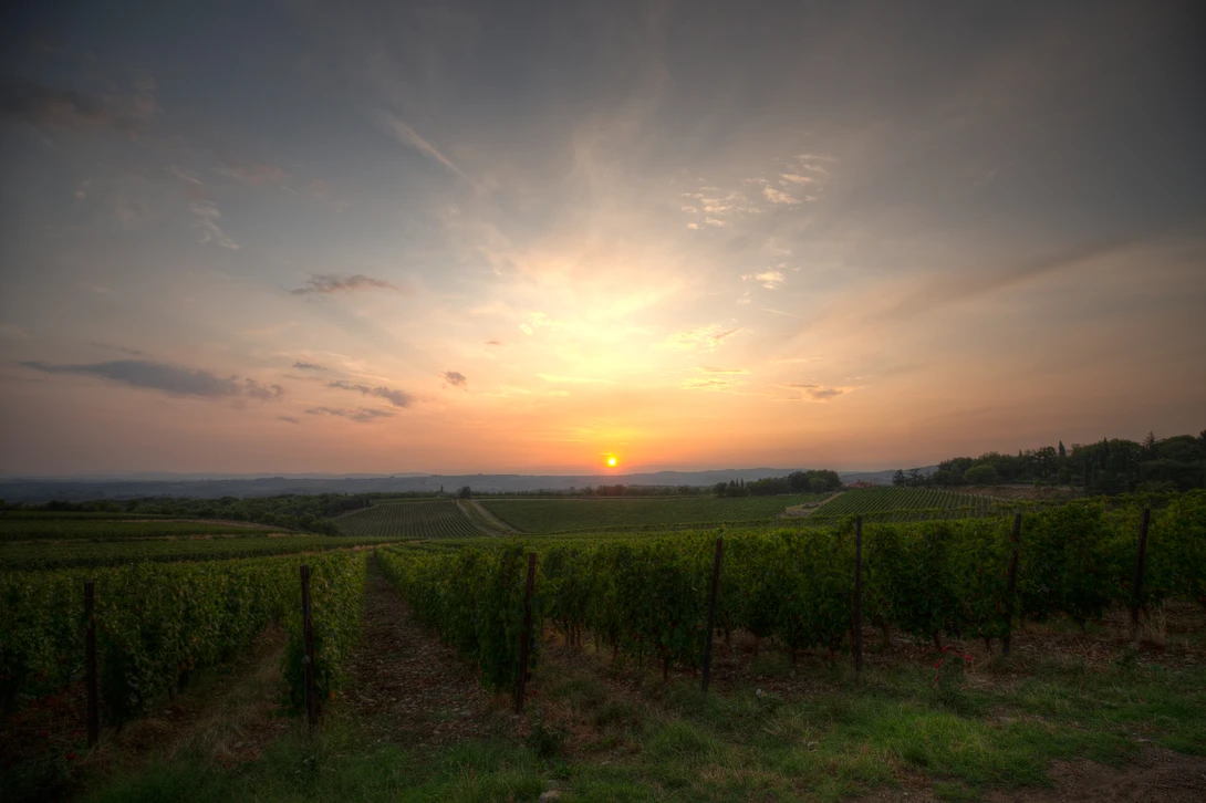 View 6d803563a6d0d6df16273949d216039d.jpg by Shawn Mahan