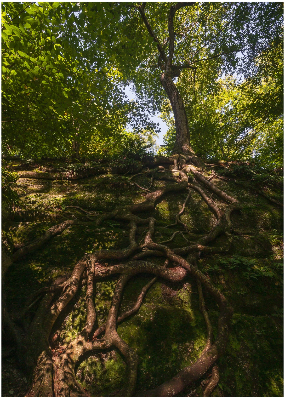 View 7f6fee6c2af5a710e29c2611aad211a0.jpg by Daniel Frost
