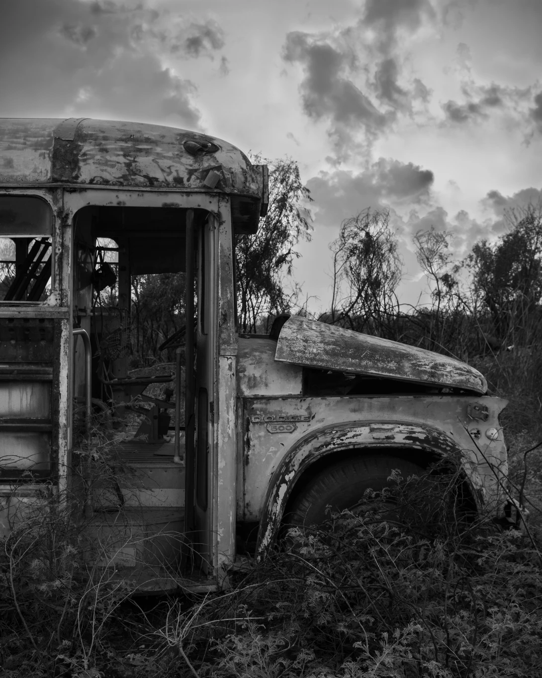 View 8e8456bbe21c61ad7a15c871134266fe.jpg by Nir Dagan