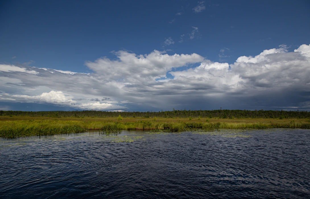 View 90cb00c27554aa063f819a768300ca44.jpg by Shawn Mahan
