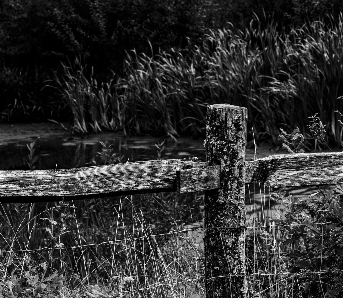 View 9afa494060994bd77a6a632792570019.jpg by Mike Young
