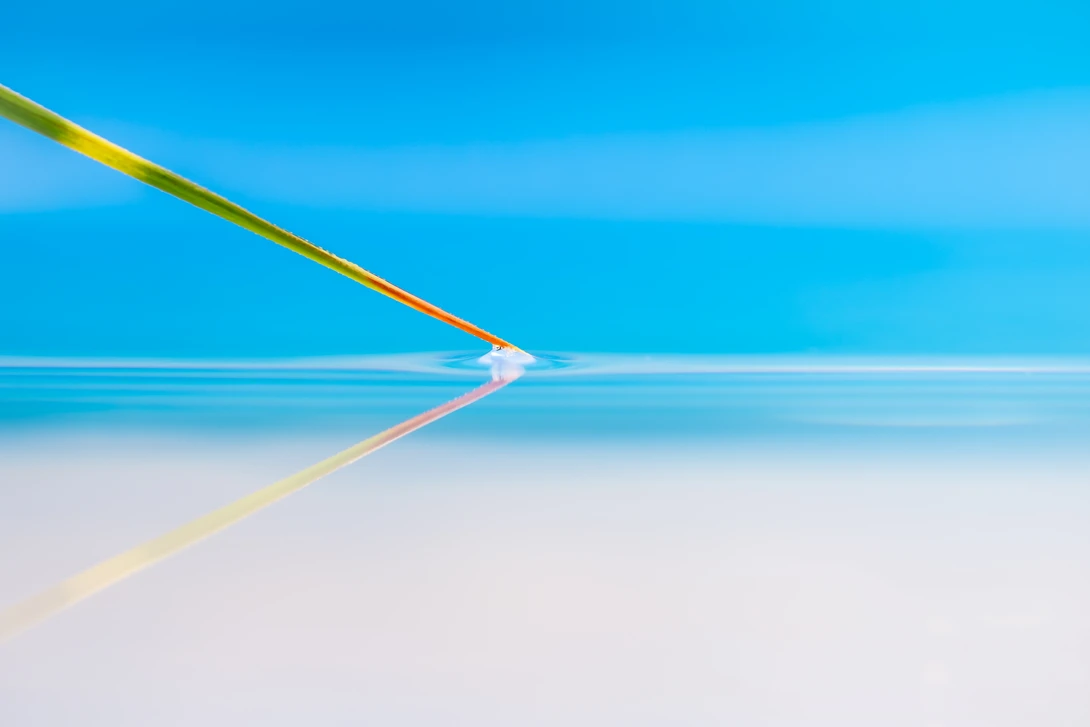 View 9ba676a9d2905d2e4e93d2c02a208d99.jpg by Adrian Bateman