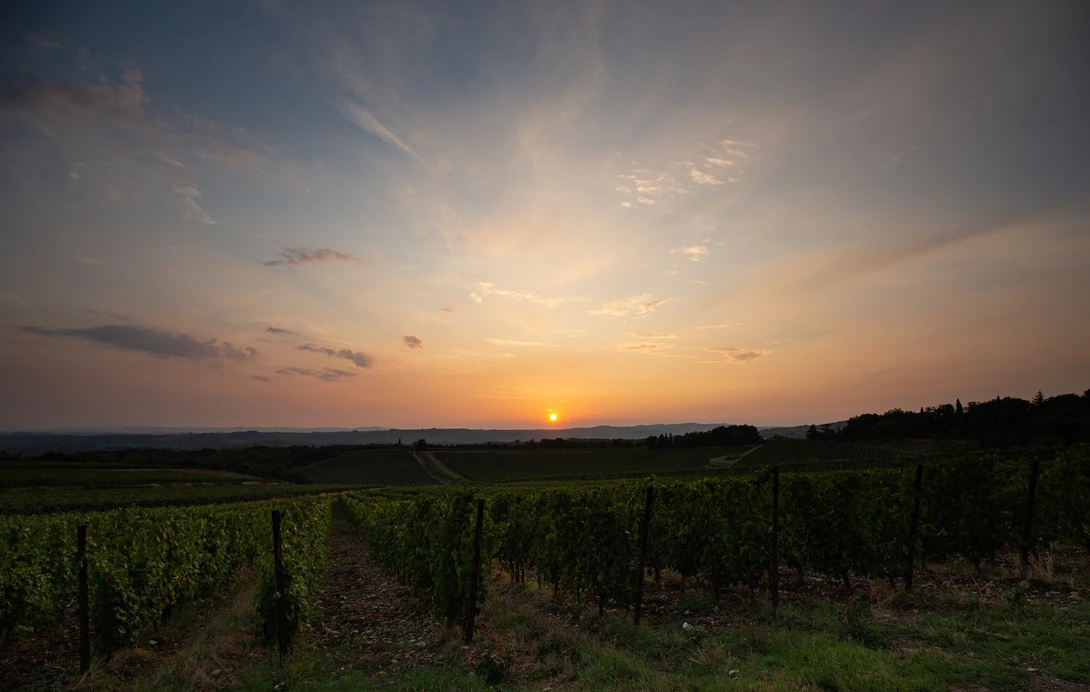 View e8333b2347d3ddbf193e31f6a097cc66.jpg by Shawn Mahan