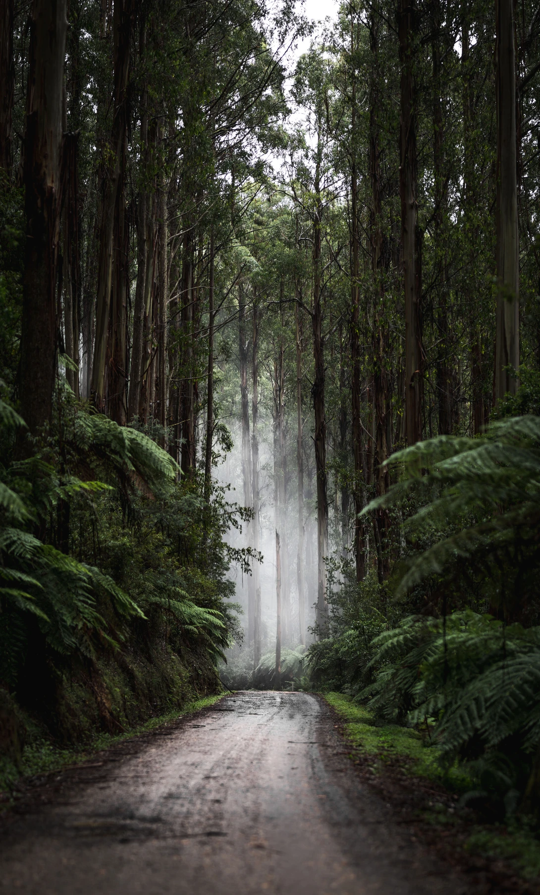 View f3b0ebe62f84c8d20bbb5eb7d904fda9.jpg by Haydn Dare