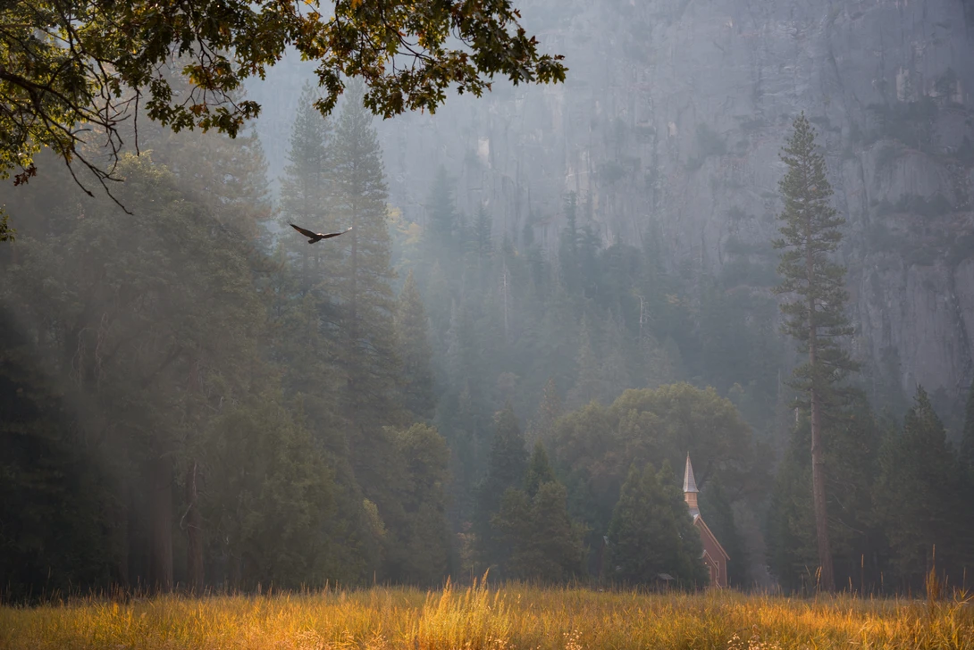 View Peaceful mornings in the valley by Nick Wiltgen