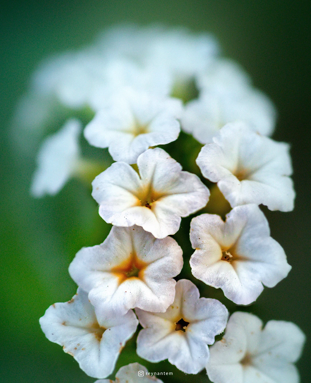 View 1a156493cd8b0ad13375f1ca7340bde2.jpg by Reynante Martinez