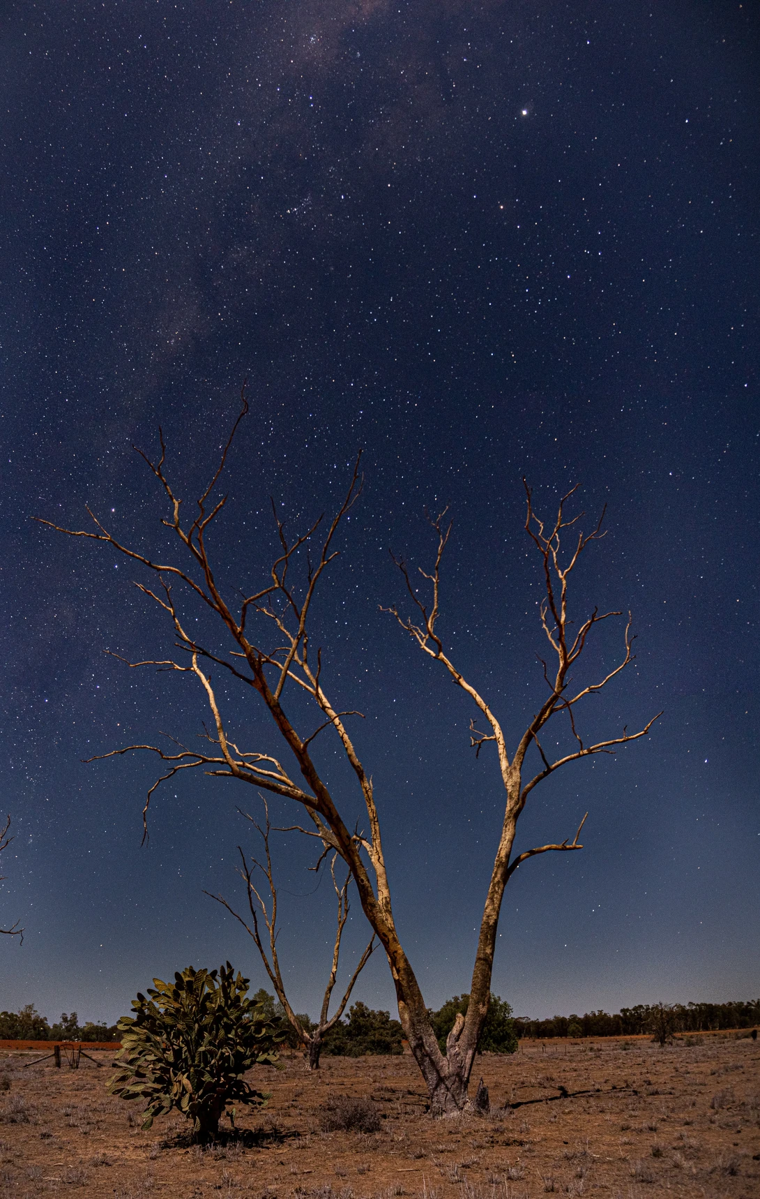 View 404280c4ae8a3daff33343bf52819513.jpg by Jeremy Martignago