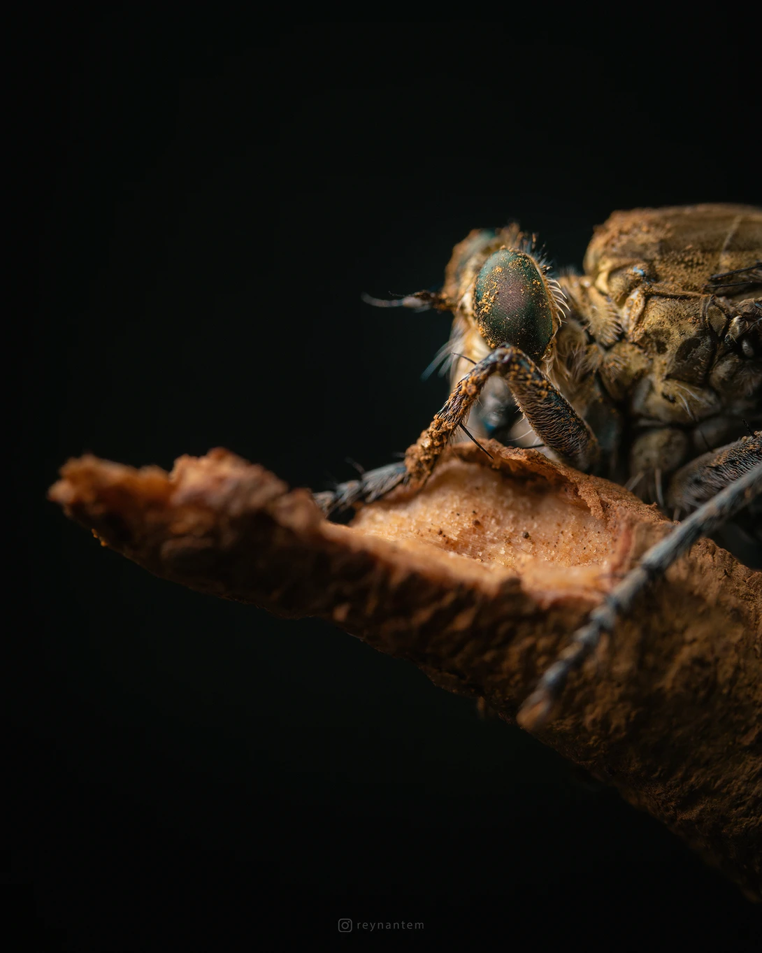 View 4473ba1a1b0f366a522ec3c43a693a82.jpg by Reynante Martinez