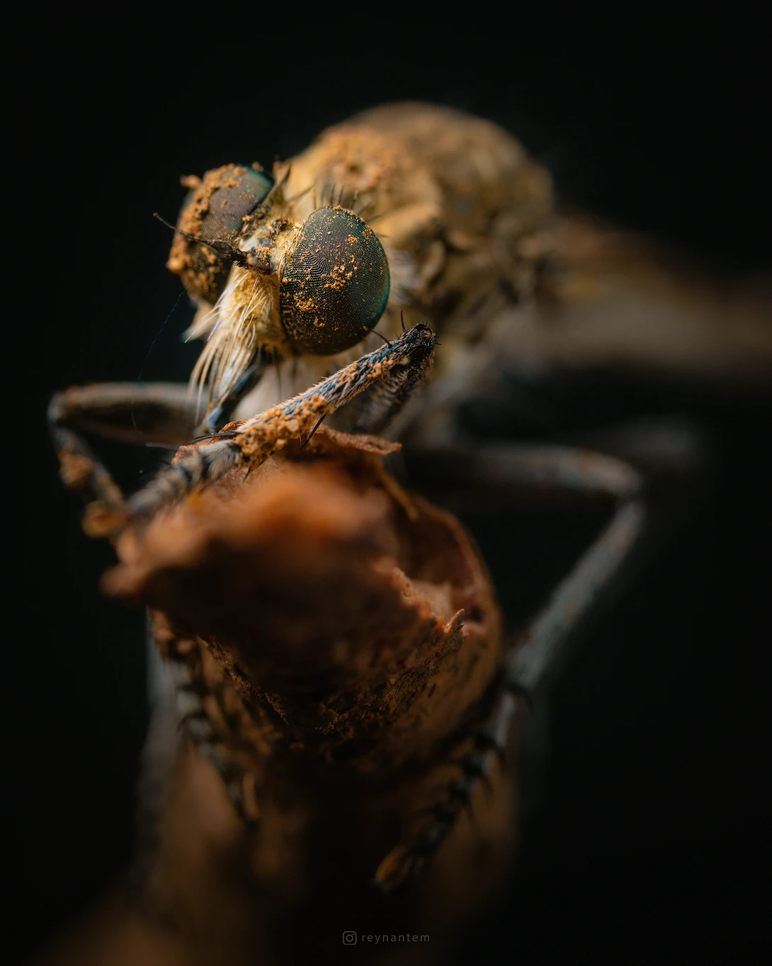 View 4c2138a7e4f9b928b4acfaf0048dcb66.jpg by Reynante Martinez