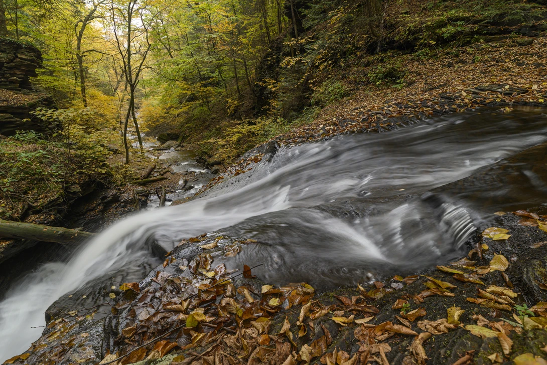 View 617be5b2639005c19102af8e8f212912.jpg by joseph cole