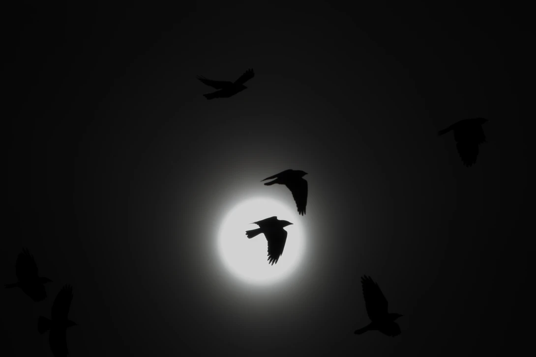 View 62e2c8f4b2c587209929bd4d15d43239.jpg by Ian Luyten