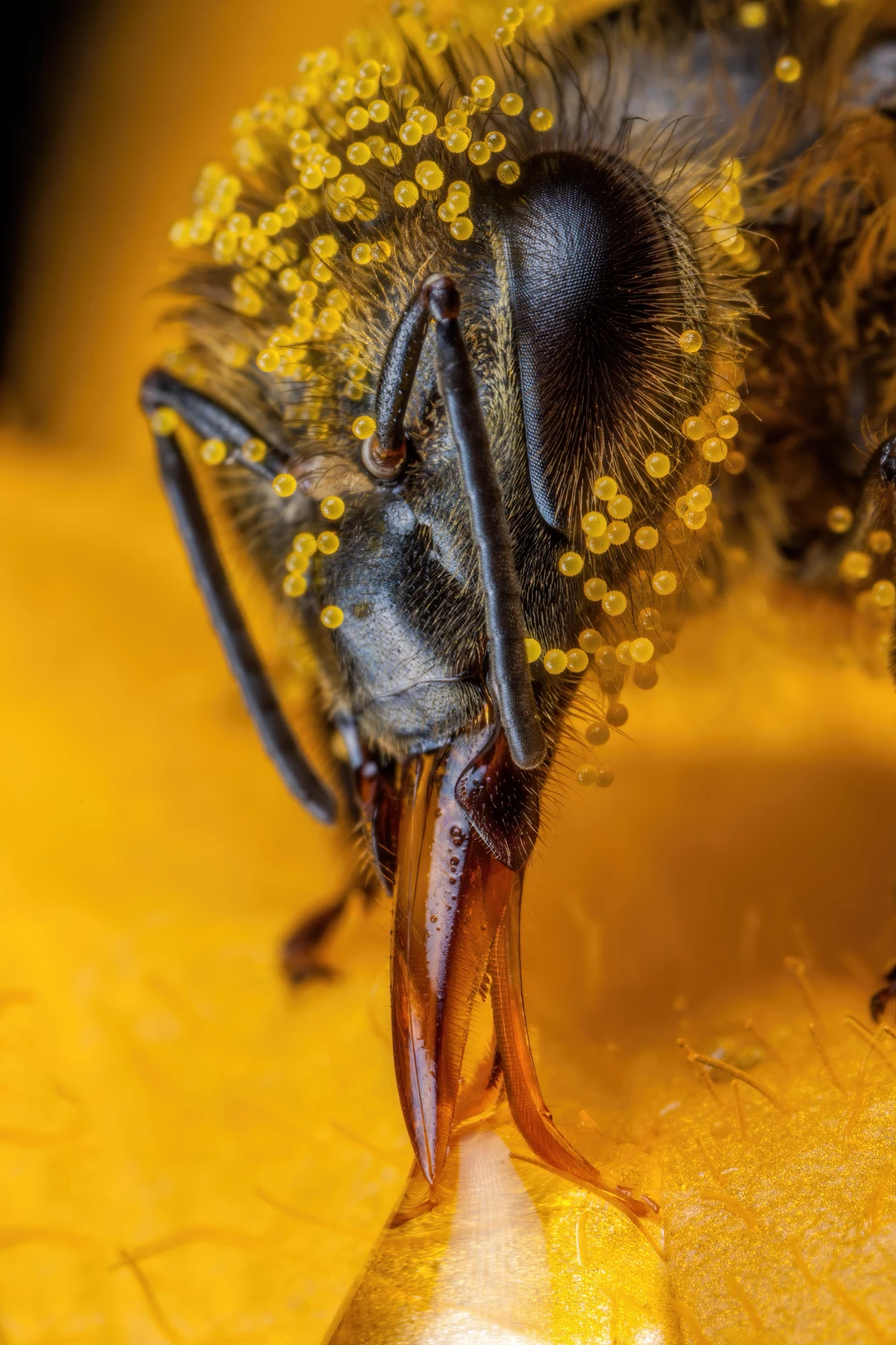 View 640c5ba05c8a76249947f0a06bf87980.jpg by John Kimbler