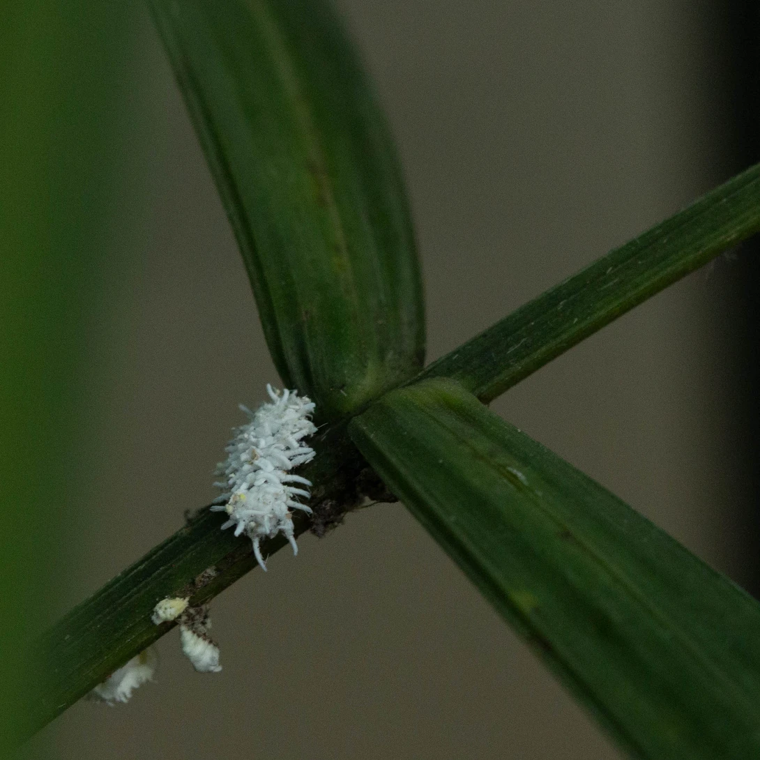 View 773c66b20a585e7e8bb2d50fd858c437.jpg by Dennis Grant