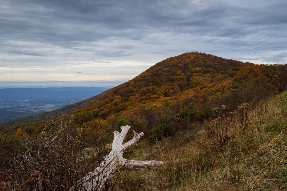 View 8b37770b53d83dddd5b68680453269c6.jpg by Griffin Barnett