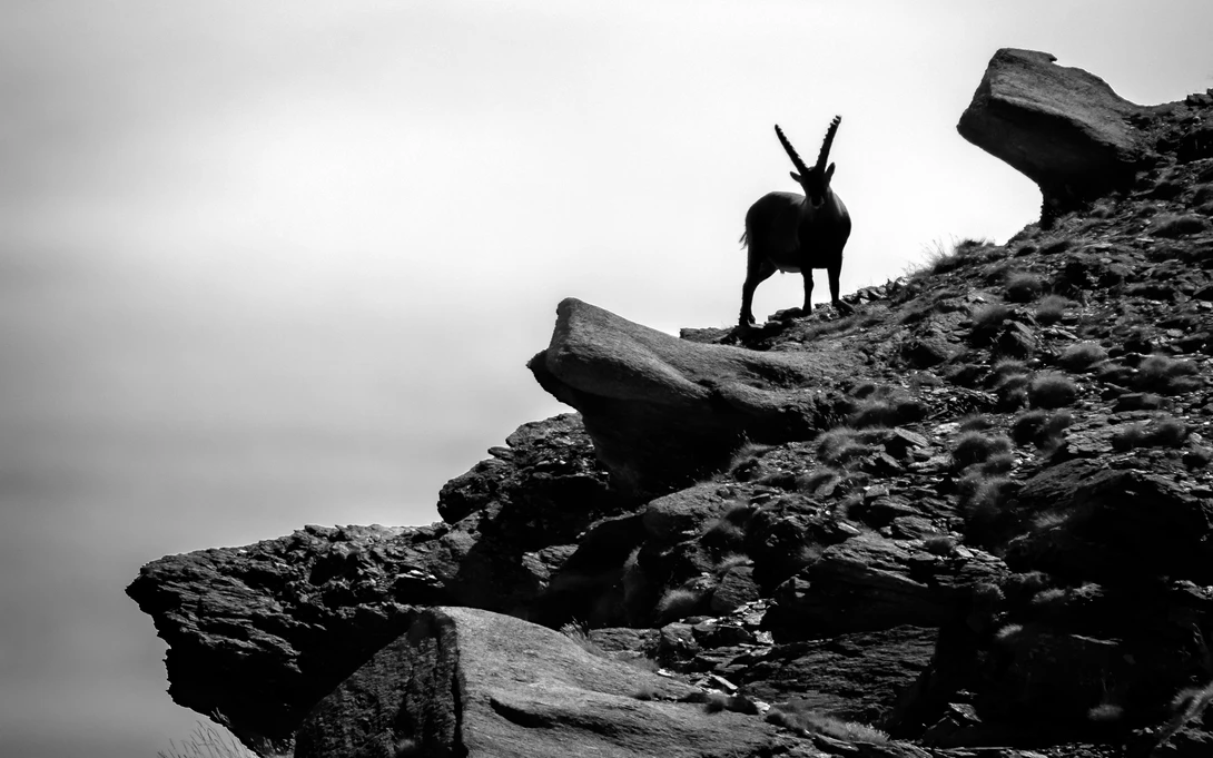View 950d3b7cc0d2bca37788e0b72ec7fac5.jpg by Nick B
